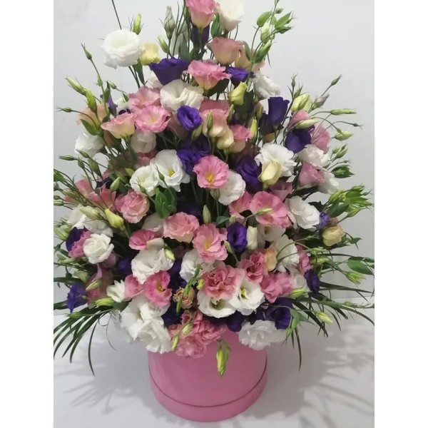 PEMBE KUTUDA  LİSYANTUS